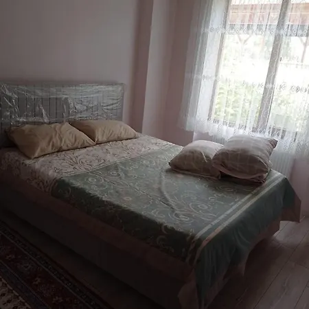 Daire Kuş Kandira